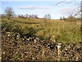 Drumcully Townland