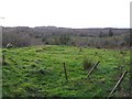 Ballintempo Townland