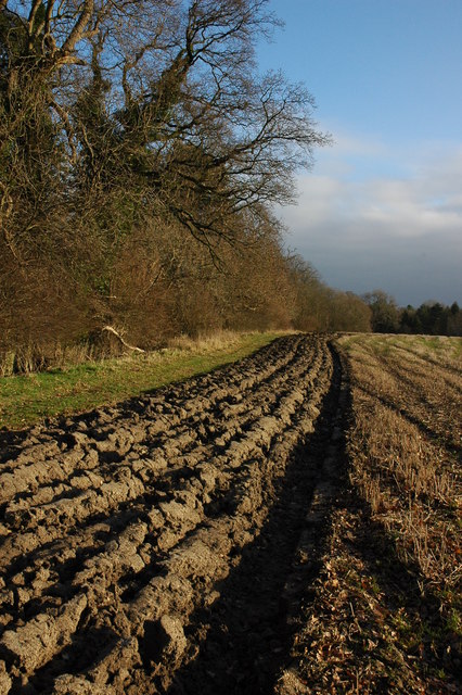 Ploughed headland