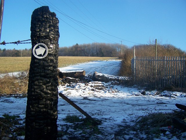 Harvel Hike on Wrangling Lane © David Anstiss :: Geograph Britain and ...