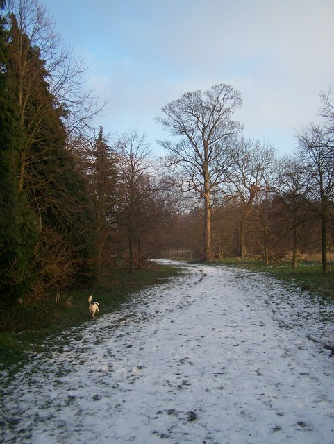 Winter in Camer Country Park