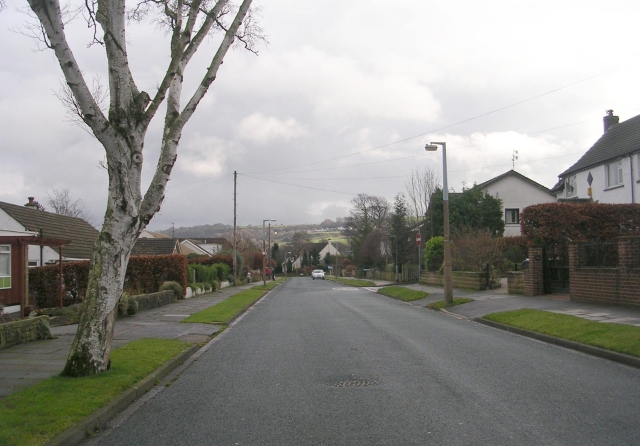 Grange Park Road - viewed from Westwood Crescent