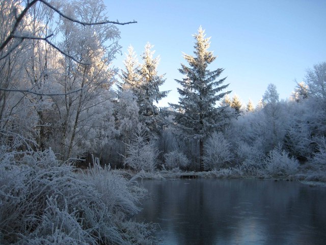 Frozen pond in Culloden Woods