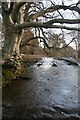 NO4146 : Weir with fishladder near Brigton House by Dan