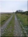 Cobbled road on the way to Middle Pasture Farm