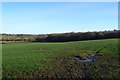 ST6305 : Countryside near Hilfield by Nigel Mykura