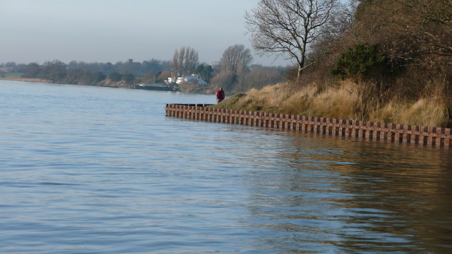 North bank of the Stour