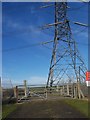 Level Crossing and Pylon