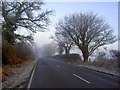 A frosty Gipsy Lane