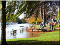 River Green, Thorpe in flood