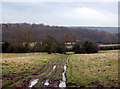 Ridgeway unclassified road, Snowford Hill (3)