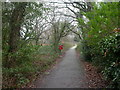 Chewton Common, footpath