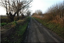 SO9036 : Fleet Lane, Bredon by Philip Halling