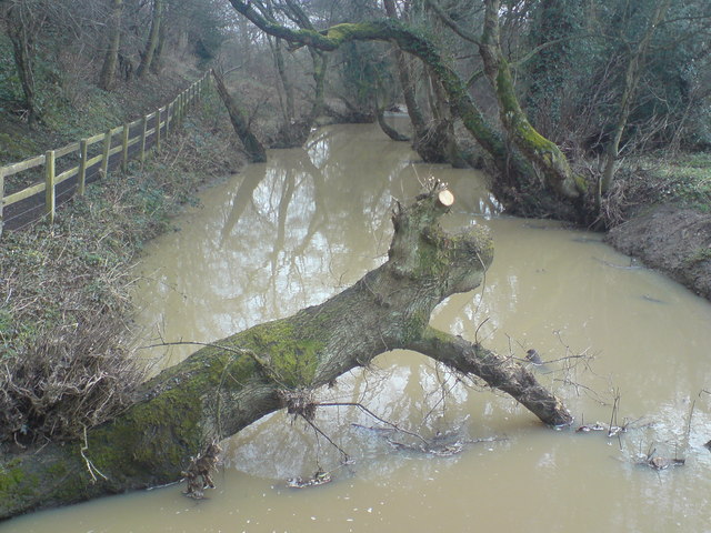 River Lyne