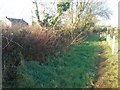 Footpath past Sycamore Hill