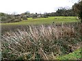 Near the footpath to a farm, east of Prestbury