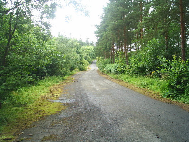 Abandoned Road