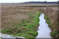 An Unnamed Burn near Auchterforfar