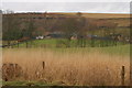 NO4952 : View of Wemyss Farm by Alan Morrison