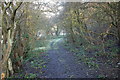 Path to Hall Lane, Netherton