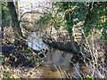 Mill River from Hall Lane - looking east