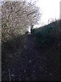 Bridleway near Craig-y-Ddywart quarry