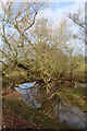 Reflections in the water, Pont Sandpit