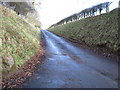 Road entering Rachelfield Farm