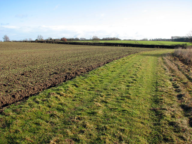 View east along a farm track