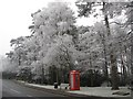 A Wintry Beacon Hill