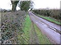 Redhill Lane, towards East End Lane, near Emborough