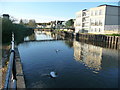 Bath : The River Avon