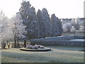 Heavy frost at the park