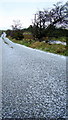 G8678 : Hailstones: St Peter's Lough road by louise price