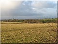 Fields beside the M73