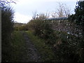 Railway Bridge (Disused)