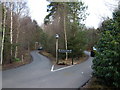 Arrival  at  Center  Parcs  Whinfell  Forest