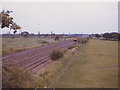 West Coast Main Line at Wimboldsley in BR days