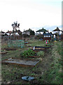 Weald Allotments