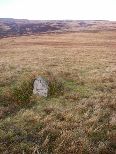 Possible boundary stone