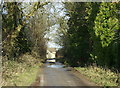 2009 : Lane to Hall Farm, near Thickwood