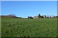 Farmland near Shipton Gorge