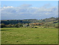 2009 : Pasture near Lane End