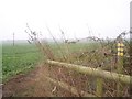 Multiple path junction in Parsonage Farm field