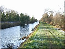 O0337 : Royal Canal near Westmanstown, Co. Dublin by JP