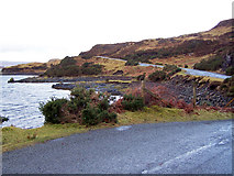 NG2449 : Shore of Loch Dunvegan by Richard Dorrell