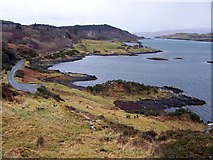 NG2449 : View towards Dunvegan Castle by Richard Dorrell