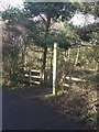 Beacon Way in the Sandwell Valley Country Park