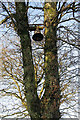 Ewes Kirkyard bell