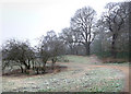 TQ2687 : Grounds of Kenwood House by Chris Gunns